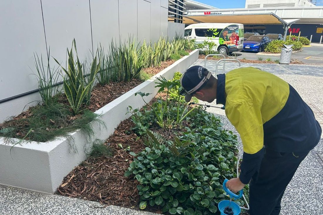 Mount Ommaney Centre — Grolife crew spraying a sansevieria planter bed
